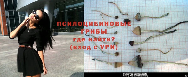 а пвп мука Алексеевка